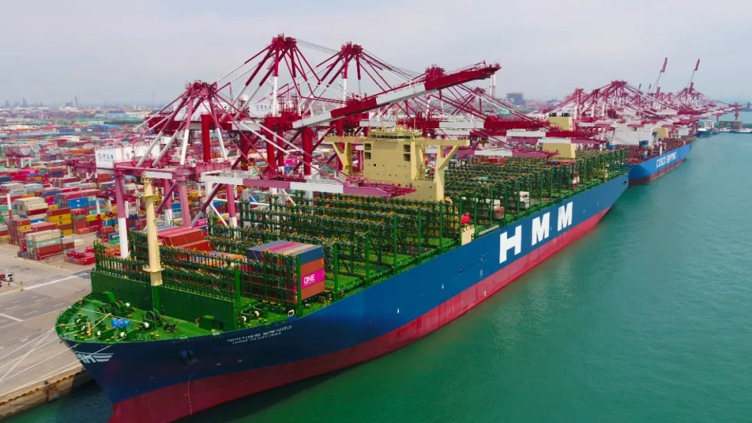 埃及出口雙清到門你真的懂嗎？